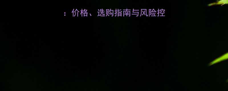 液压千斤顶投资成本价格选购指南与风险控制附详细预算表