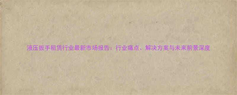 液压扳手租赁行业最新市场报告行业痛点解决方案与未来前景深度