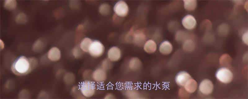 深井水泵十大品牌推荐如何选择适合您需求的水泵设备