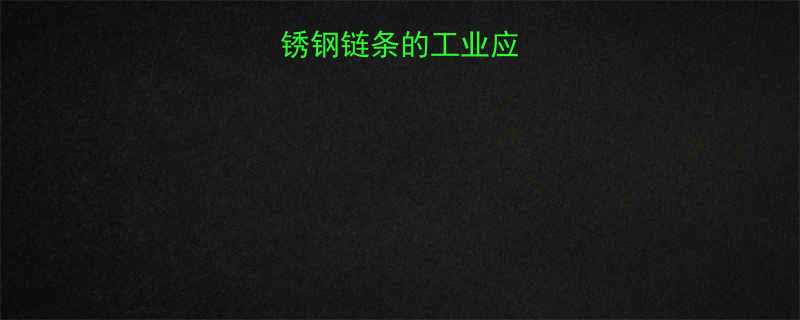温州304不锈钢链条的工业应用与选购指南