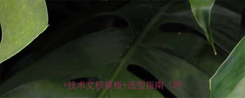 滚子链条产品英文术语全外贸术语手册技术文档模板选型指南附PDF