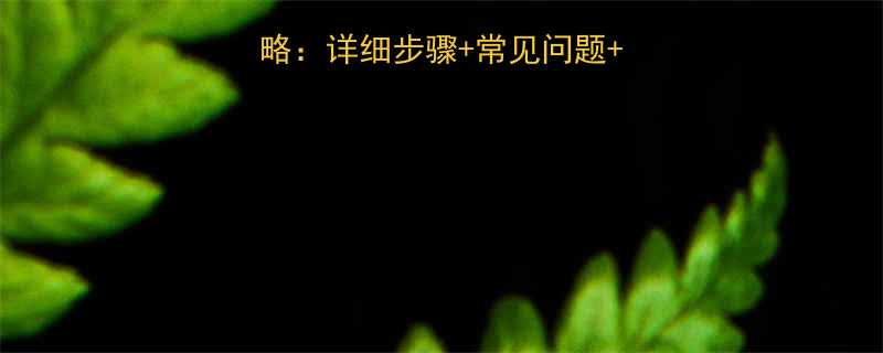 滚筒轴承安装全攻略详细步骤常见问题注意事项附图解