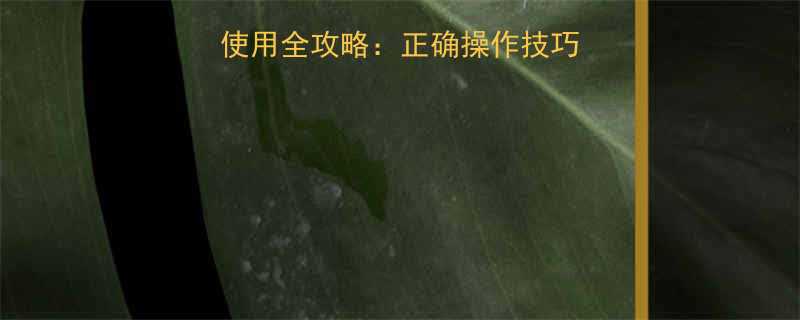 特斯拉专用呆扳手使用全攻略正确操作技巧与常见故障排除指南