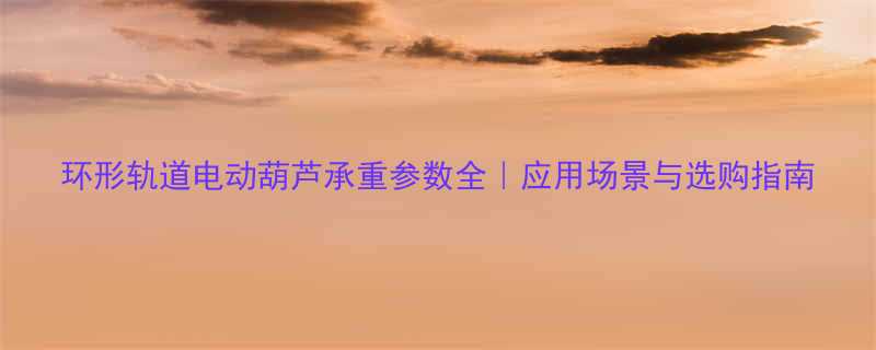 环形轨道电动葫芦承重参数全应用场景与选购指南