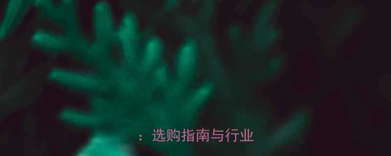 环链电动葫芦品牌全选购指南与行业应用