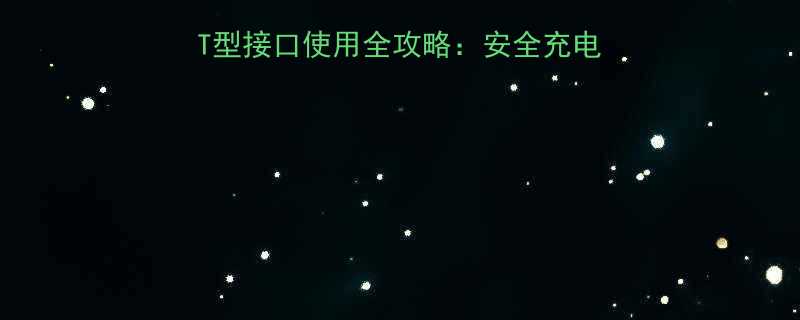 电动扳手充电器上的T型接口使用全攻略安全充电故障排除选购指南