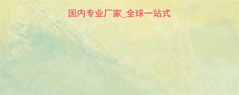 电动提升机生产商国内专业厂家全球一站式解决方案供应商1