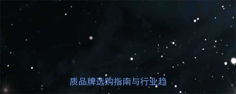 电动葫芦进口品牌推荐十大优质品牌选购指南与行业趋势分析