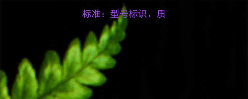 电梯钢丝绳NF标准型号标识质量认证与选购指南