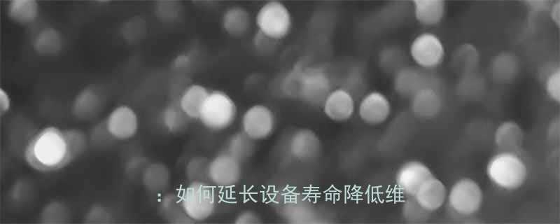 皮带机输送机胶带选购与维护全指南如何延长设备寿命降低维护成本