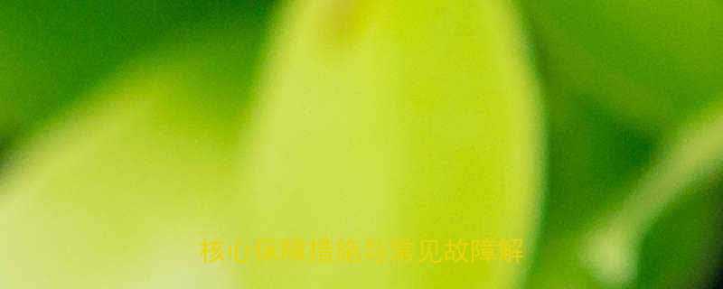 皮带输送机高效运行全攻略5大核心保障措施与常见故障解决方案