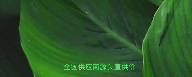 碟型弹性阻尼减震器厂家推荐｜全国供应商源头直供价格优惠