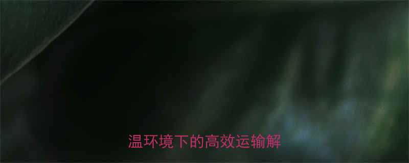 耐高温网链输送机工业高温环境下的高效运输解决方案