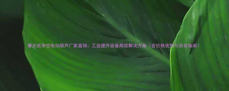 肇庆低净空电动葫芦厂家直销：工业提升设备高效解决方案（含价格优势与安装指南）