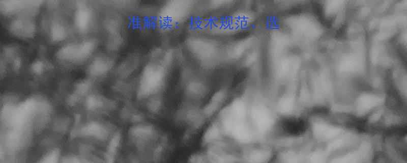 螺母气动管接头标准解读技术规范选购指南与行业应用全