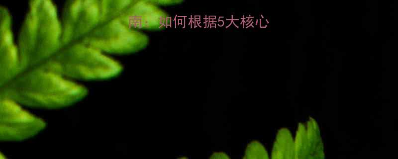 起重吊环选型全指南：如何根据5大核心标准匹配工程需求？