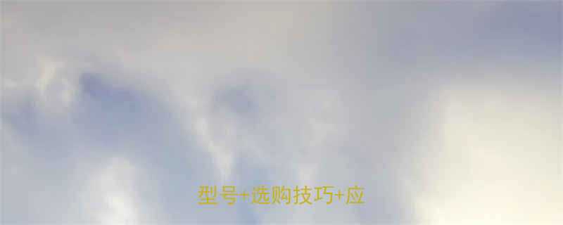 转斗式提升机型号全：最新型号+选购技巧+应用场景