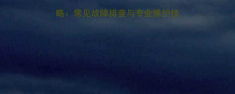 遥控电葫芦维修全攻略常见故障排查与专业维护技巧附详细步骤图解
