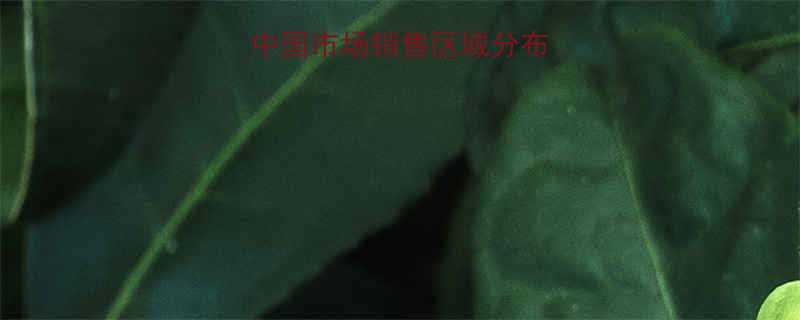 钢丝绳全球与中国市场销售区域分布及行业应用指南