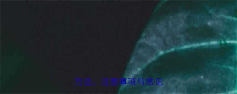 钢丝绳打结步骤详解正确方法注意事项与常见问题全