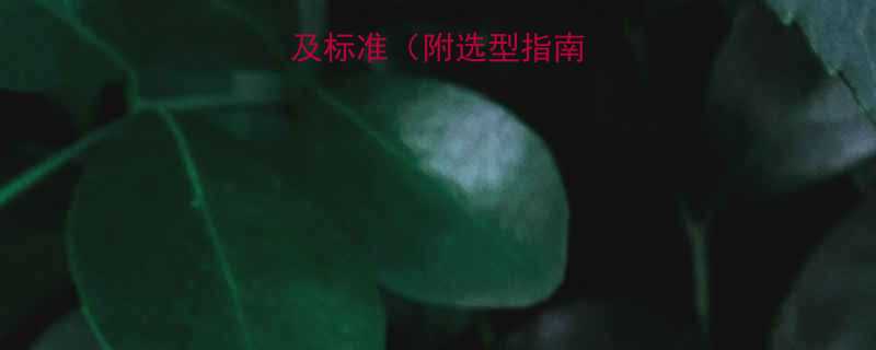 链条型号大全及标准（附选型指南+常见问题全）