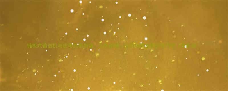 链板式输送机与皮带选型指南工作原理应用场景及维护技巧全最新版