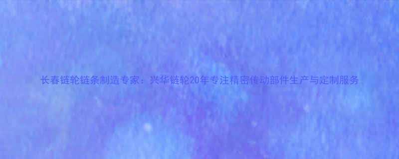 长春链轮链条制造专家兴华链轮20年专注精密传动部件生产与定制服务