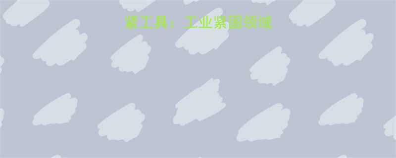 阿特拉斯枪式拧紧工具工业紧固领域的革新性解决方案