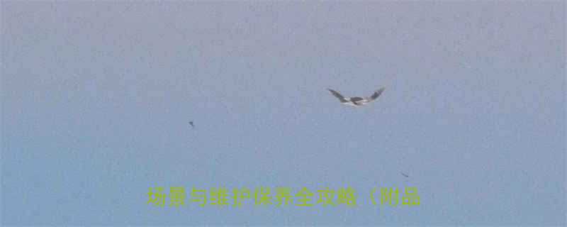 预置式扭力扳手精度：选购指南、应用场景与维护保养全攻略（附品牌推荐）