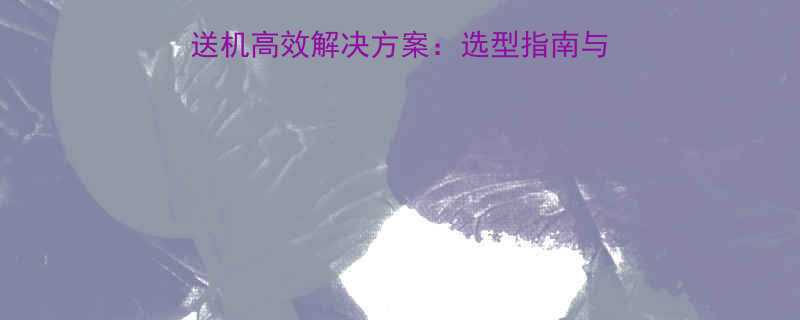 食品厂流水线网带输送机高效解决方案：选型指南与维护技巧（附选型表）