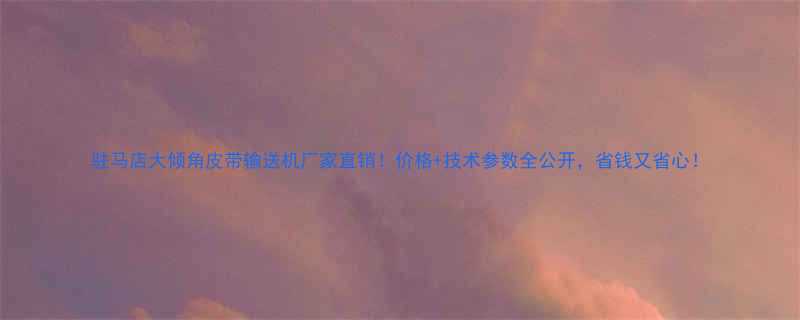 驻马店大倾角皮带输送机厂家直销！价格+技术参数全公开，省钱又省心！