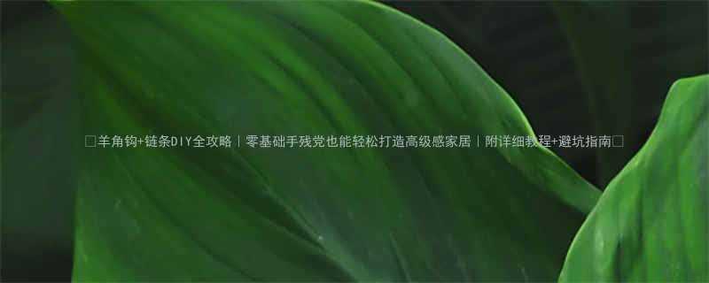羊角钩链条DIY全攻略零基础手残党也能轻松打造高级感家居附详细教程避坑指南