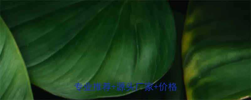 青海脚手架电葫芦租赁全攻略专业推荐源头厂家价格透明