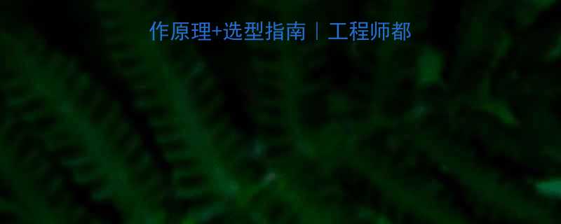 皮带称重给料机工作原理选型指南工程师都在看的避坑干货