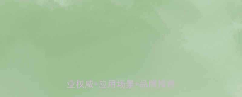 泰州环链电动葫芦起重机选购指南行业权威应用场景品牌推荐全攻略