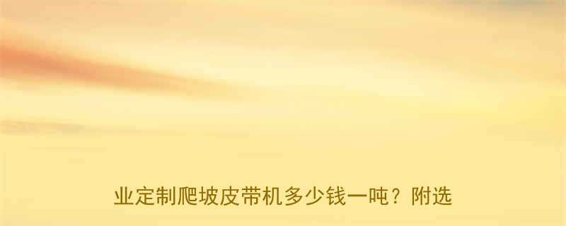 辽宁爬坡皮带输送机厂家直销沈阳大连专业定制爬坡皮带机多少钱一吨附选购全攻略