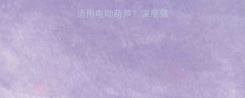 6x19钢丝绳适用电动葫芦深度强度成本与选型指南