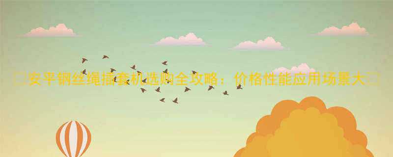 安平钢丝绳插套机选购全攻略价格性能应用场景大