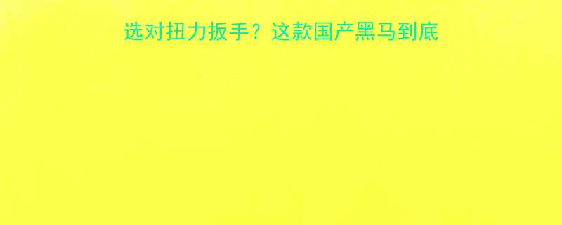 工程人看过来如何选对扭力扳手这款国产黑马到底强在哪实测报告来了