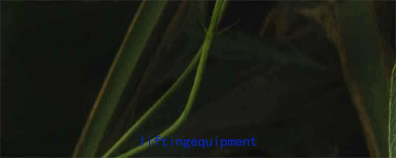 🔥最新款2吨环链电动葫芦选购全攻略｜工业liftingequipment省电黑科技