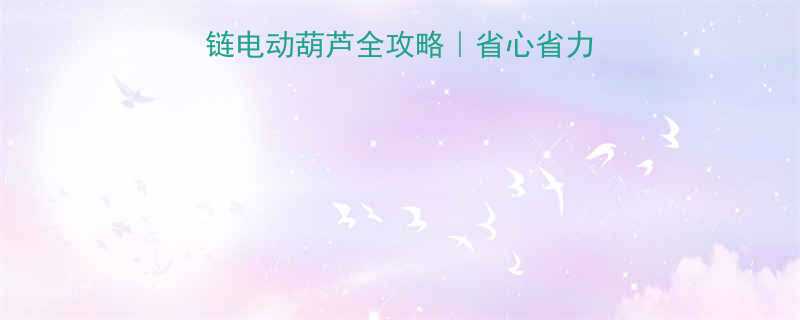 武汉沪工PDH型环链电动葫芦全攻略省心省力选对设备年省3万