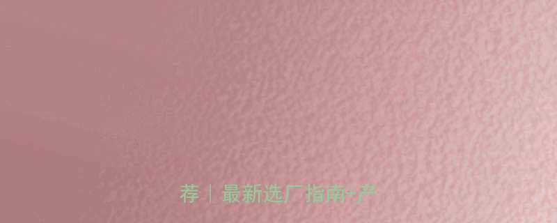 沈阳输送链条厂家供应商推荐最新选厂指南产品全