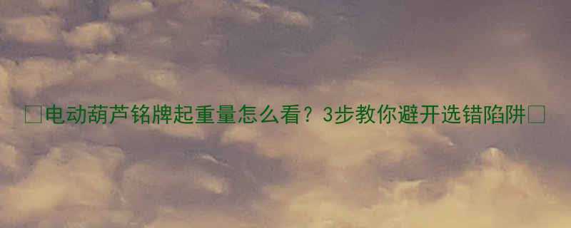 电动葫芦铭牌起重量怎么看3步教你避开选错陷阱