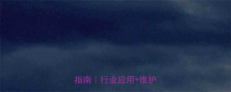 进口双节距大滚子链条选购指南行业应用维护秘籍全