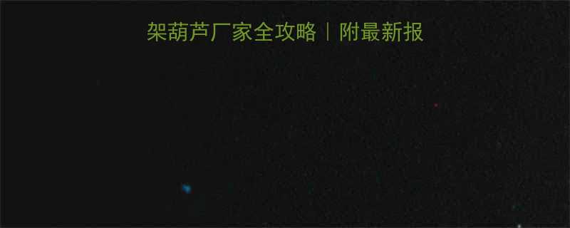 🔥销量TOP10爬架葫芦厂家全攻略｜附最新报价单+选厂避坑指南💰