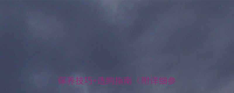 🔧油压系统与液压千斤顶全攻略：维修保养技巧+选购指南（附详细参数对比）