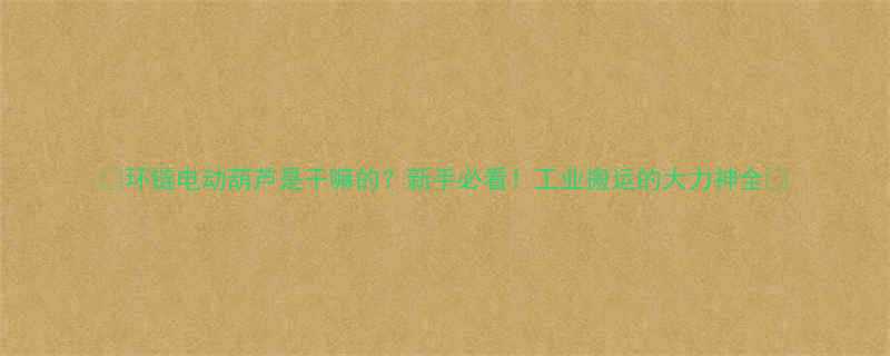 环链电动葫芦是干嘛的新手必看工业搬运的大力神全