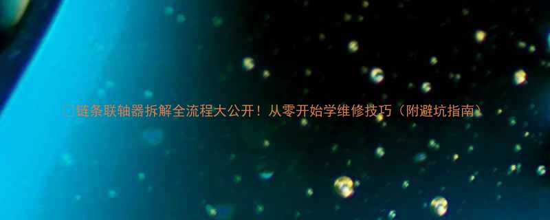 🔧链条联轴器拆解全流程大公开！从零开始学维修技巧（附避坑指南）