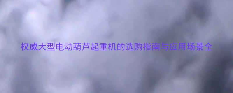 权威大型电动葫芦起重机的选购指南与应用场景全