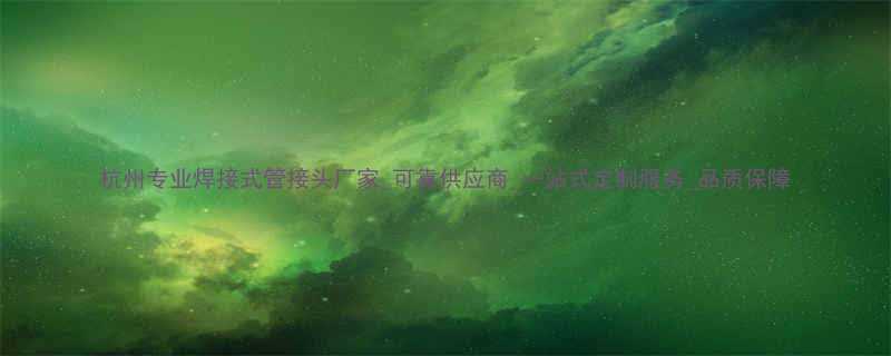杭州专业焊接式管接头厂家可靠供应商一站式定制服务品质保障